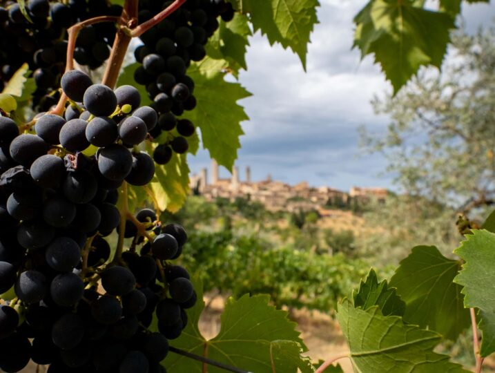 villas nearby vineyards