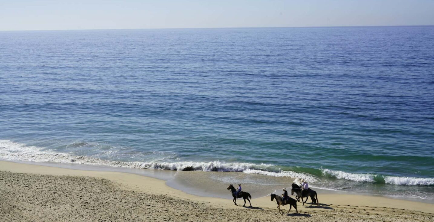 Comporta holiday