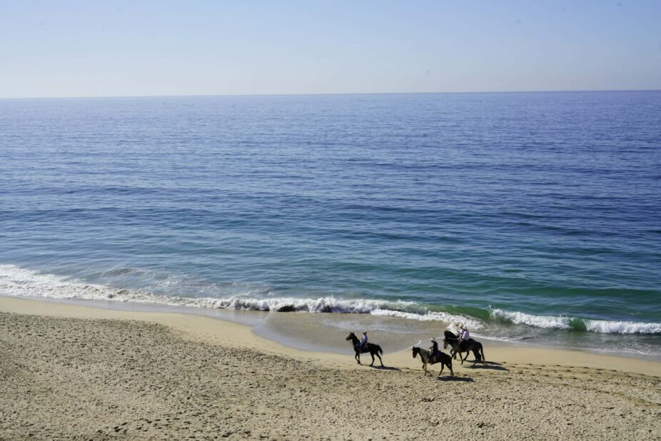 Comporta holiday