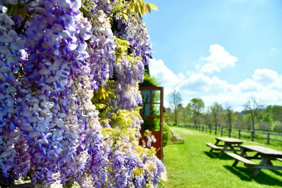 Manoir in Normandy, France