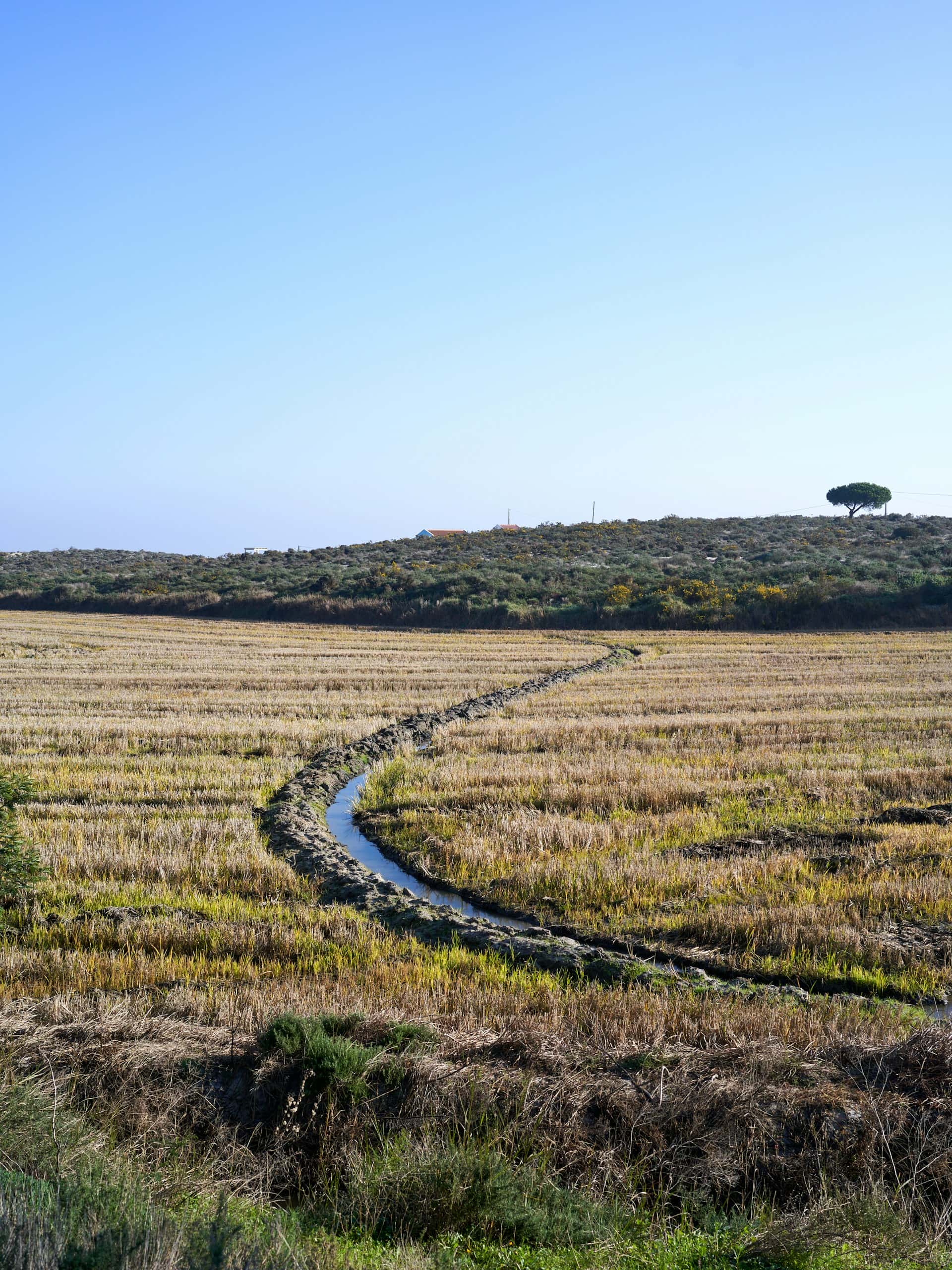 Comporta, Portugal